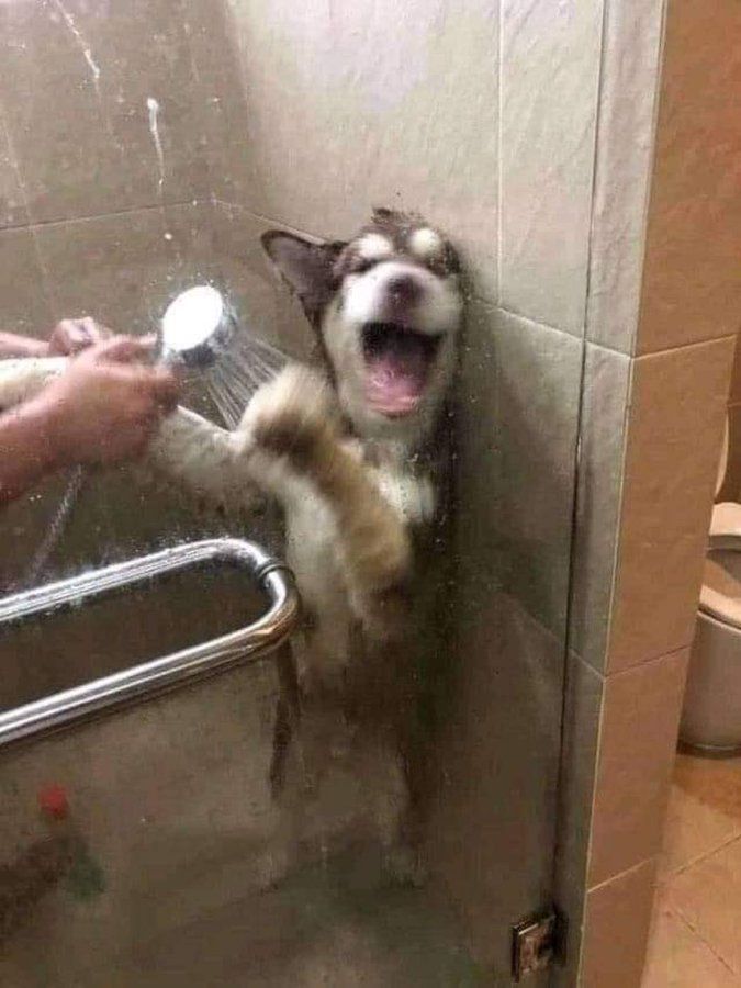 Get 10000$ everytime you shower